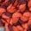 Color Swatch - Red