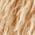 Color Swatch - Maple