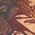Color Swatch - Raisin Paisley