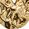 Color Swatch - Gold