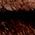 Color Swatch - Brown