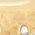 Color Swatch - Crystal/Gold