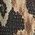Color Swatch - Black