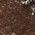 Color Swatch - Mushroom