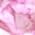 Color Swatch - Sterling Pink Sapphire