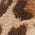 Color Swatch - Ivory