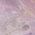 Color Swatch - Multi