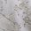 Color Swatch - White