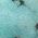 Color Swatch - Turquoise/Gold