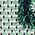 Color Swatch - Green