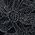 Color Swatch - Black
