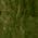Color Swatch - Green