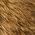 Color Swatch - Honey
