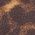 Color Swatch - Brown