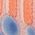 Color Swatch - Animal