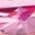 Color Swatch - Pink