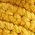 Color Swatch - Yellow