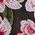 Color Swatch - Floral