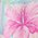 Color Swatch - Floral