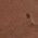 Color Swatch - Brown