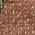 Color Swatch - Pink