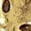 Color Swatch - Gold