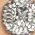 Color Swatch - Silver/Crystal