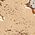 Color Swatch - Gold