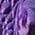 Color Swatch - Purple