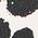Color Swatch - Black