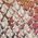 Color Swatch - Multi