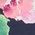 Color Swatch - Floral