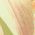 Color Swatch - Lime Multi