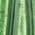 Color Swatch - Green