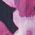 Color Swatch - Purple