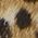 Color Swatch - Animal