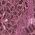 Color Swatch - Pink