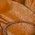 Color Swatch - Brown