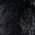 Color Swatch - Black