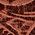 Color Swatch - Brown