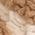 Color Swatch - Ivory