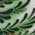 Color Swatch - Green