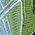 Color Swatch - Green