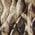 Color Swatch - Animal