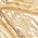 Color Swatch - Gold