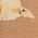 Color Swatch - Brown