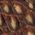 Color Swatch - Brown