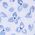 Color Swatch - Blue