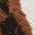 Color Swatch - Animal