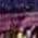 Color Swatch - Purple